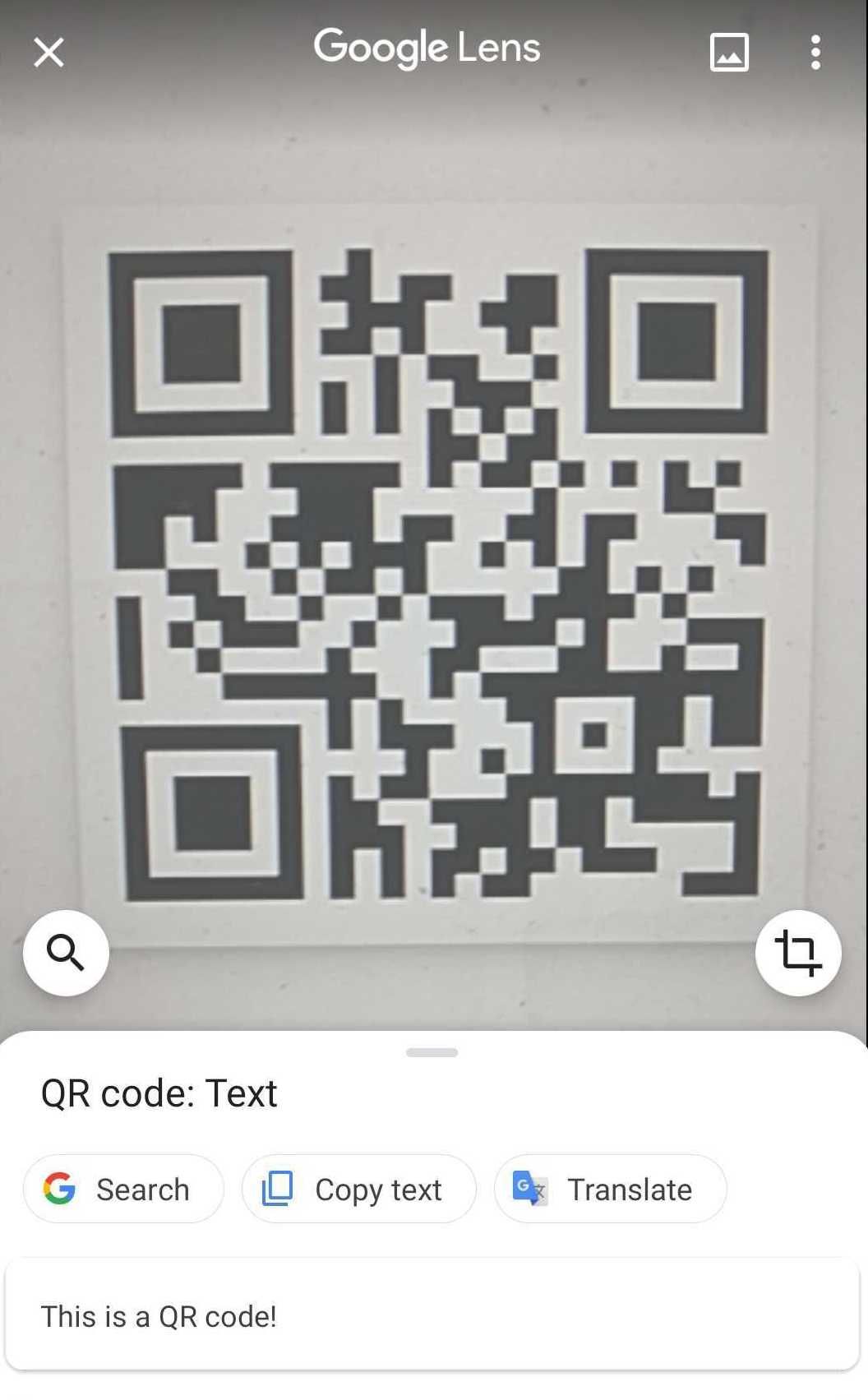 Google Lens QR Code scanned response for plaintext contents